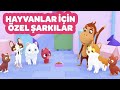 🔴 CANLI:  Hayvanlar İçin Şarkılar 🎶 🐱 Sokak Hayvanlarını Koruma Günü Özel | Pedagog Onaylı