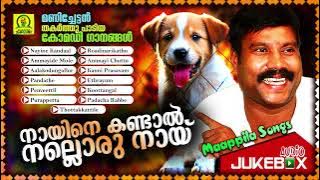 Naayine Kandaal Nalloru Naayi | Manichettan Thakarthu Paadiya Comedy Gaanangal |  Mappila Songs