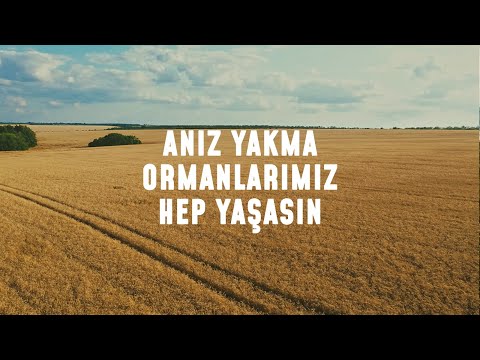 Anız Yakma, Ormanlarımız Hep Yaşasın! #DahaYanmadan  | TEMA