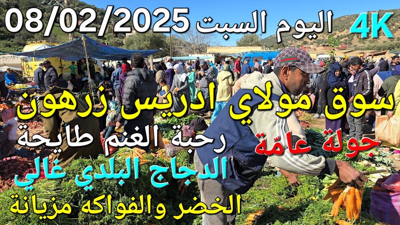 أثمنة الغنم والدجاج والسمك والخضر سوق مولاي ادريس زرهون اليوم السبت 08/02/2025