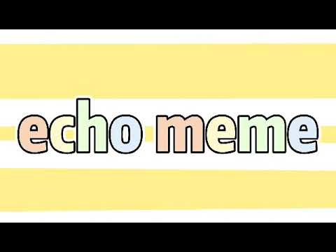 echo meme background
