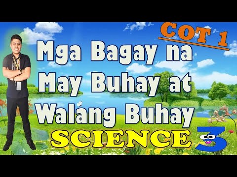 Video: Paano nauuri ang mga bagay na may buhay at walang buhay?