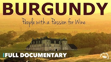 Burgundy People With A Passion For Wine |🍷 Wine-making | Full Documentary