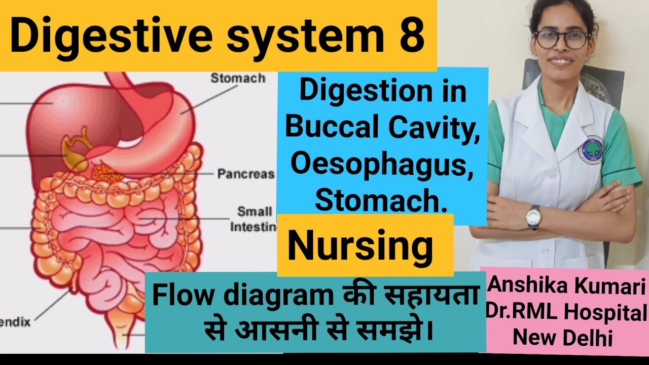 Physiology of digestive system// In Hindi// Digestion in Buccal cavity