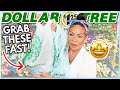 *JACKPOT* DOLLAR TREE Finds You NEED To BUY Fast!