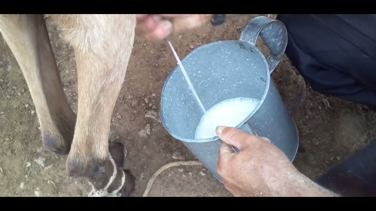 13 de fevereiro de 2026