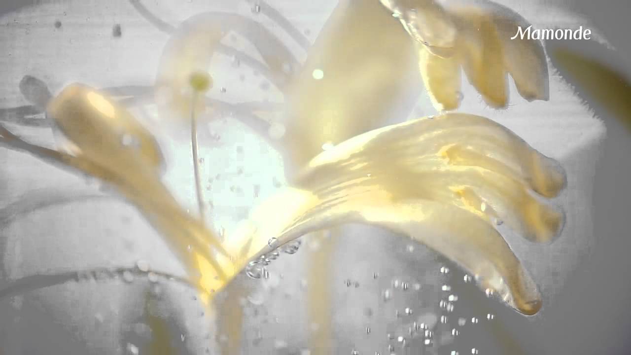 [Mamonde] First Energy Serum