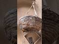 Old stone scale tool