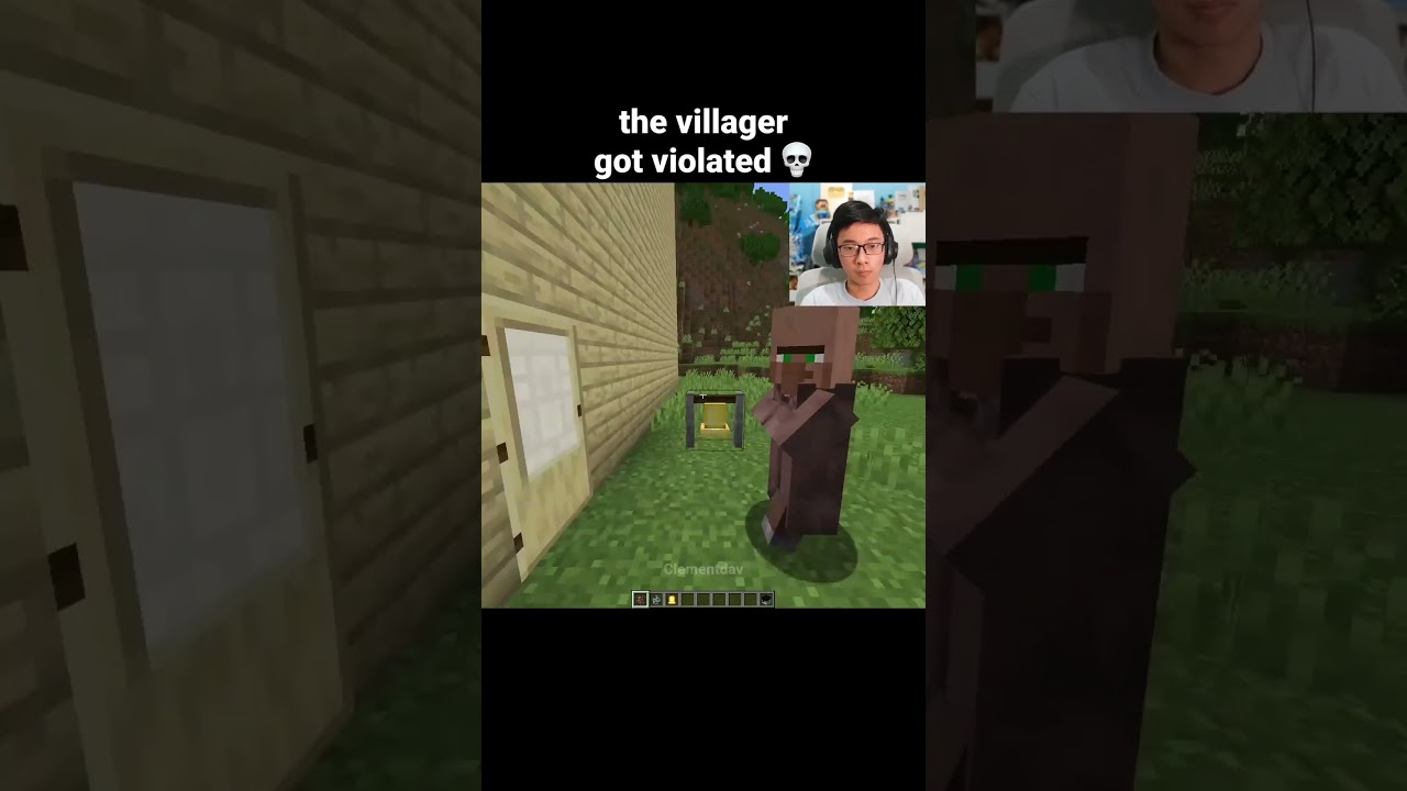 Minecraft Villager Moment