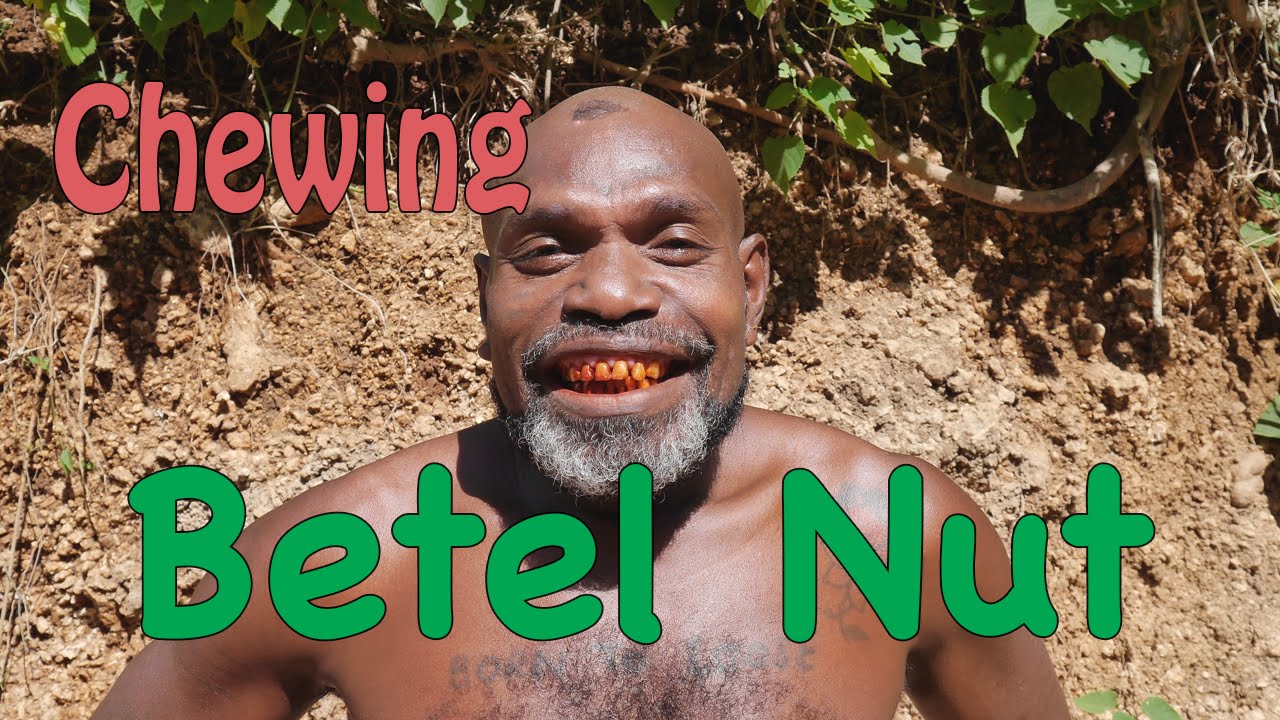 Chewing Betel Nut, Solomon Islands YouTube