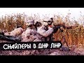 Снайперам ВСУ разрешили стрелять по жителям Донбасса