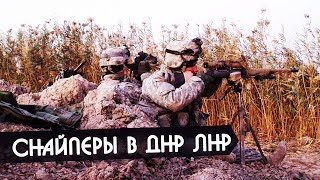 Снайперам ВСУ разрешили стрелять по жителям Донбасса