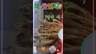 김다현, 그 순간 모두가 놀랐다… 아빠의 음식 선물!