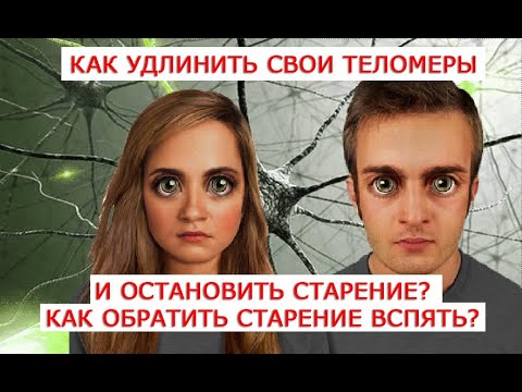 Как удлинить свои теломеры и остановить старение  Как обратить старение вспять