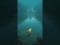 Unsolved mysteries #dog #disappearance #lake #folkhorror #aiclips #clipclop