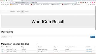 inf 551 final project video demo