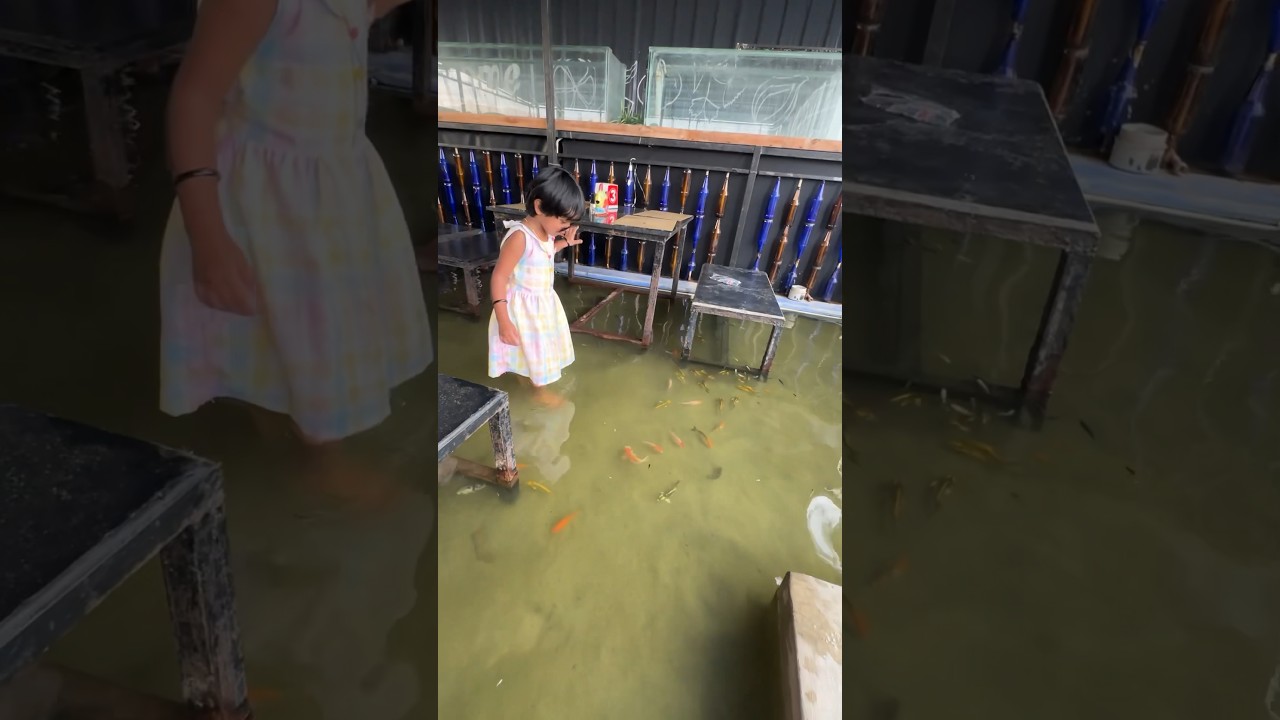 Fish theme restaurant, guntur 