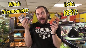 Why Digital Infrared Thermometers are the Best Kind of Thermometers for Reptile Keepers! 😃👍