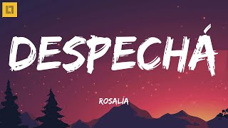 Rosalía - DESPECHÁ (Letra/Lyrics)