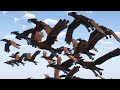 Stymphalian Bird Showcase - Ice and Fire Mod 1.12 - Minecraft