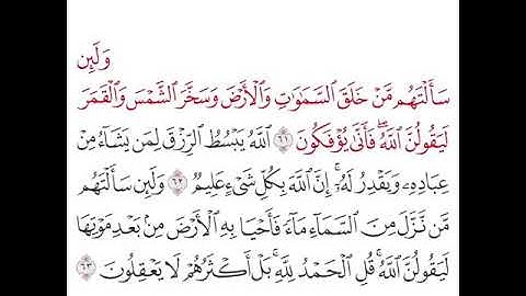 تلاوة سورة العنكبوت للايات(٦١-٦٣) بصوت محمد أيوب