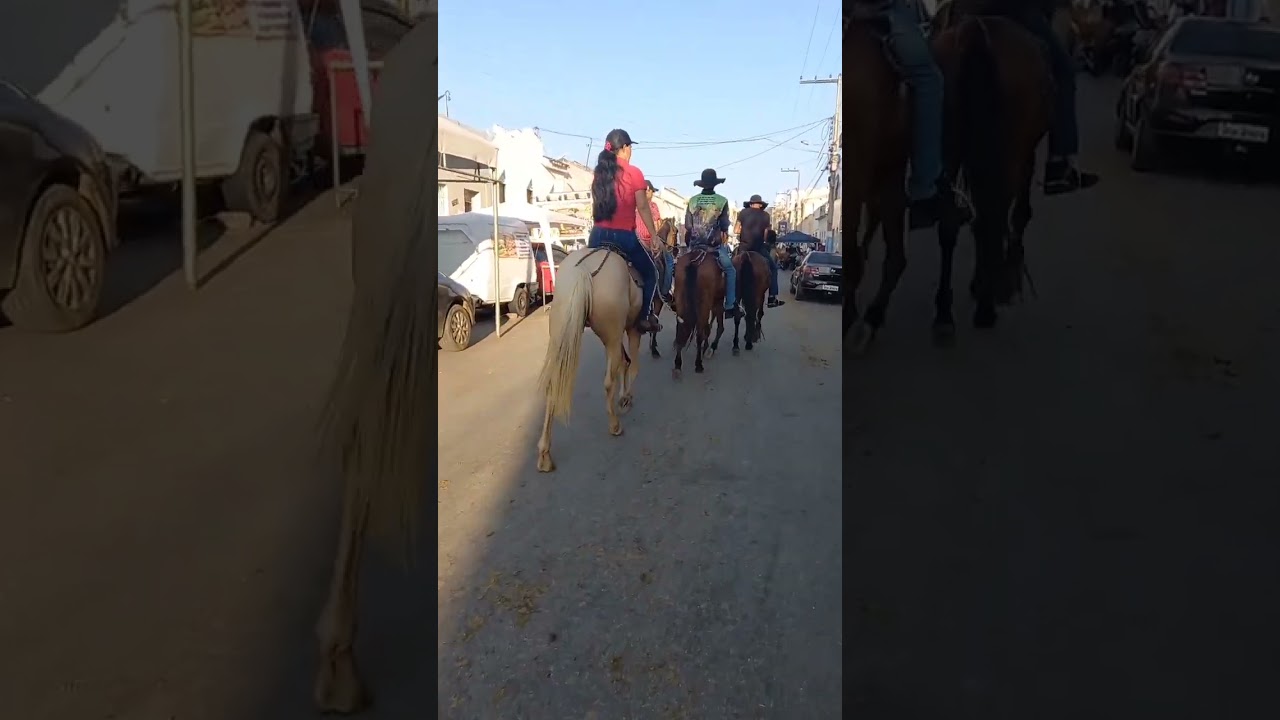 Vaquerios de Vaquejada