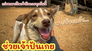 ช่วยหมาข้างถนน ►Fishing lifestyle Ep.733