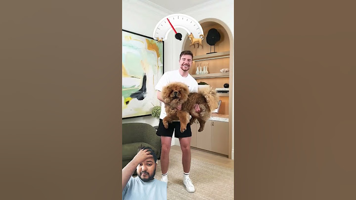 Holding Bigger and bigger dogs #trending #youtubeshorts #mrbeastshorts #shorts #mrbeast