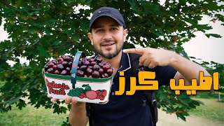 جولة بواحدة من اجمل مزارع الكرز في كندا | اطيب كرز ماكله بحياتي 😋