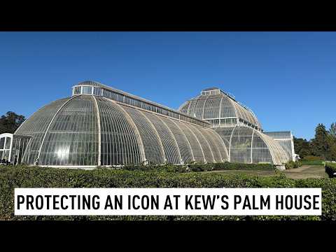 Science and nature: Kew Gardens fundraiser for tropical Palm House