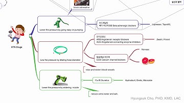 고혈압, 부정맥 치료제 정리- 노바스크, 제스트릴, 프로프라놀롤 등등