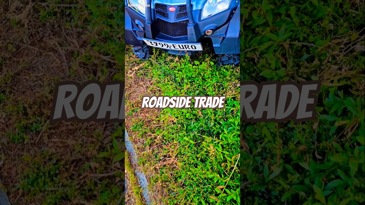 Roadside trading in Western Europe 