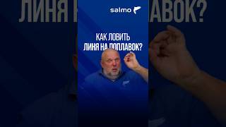 Как ловить линя на поплавок?