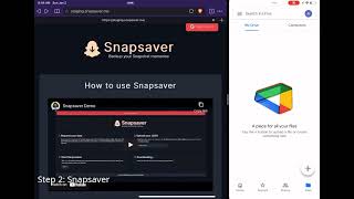 Snapsaver Demo screenshot 3