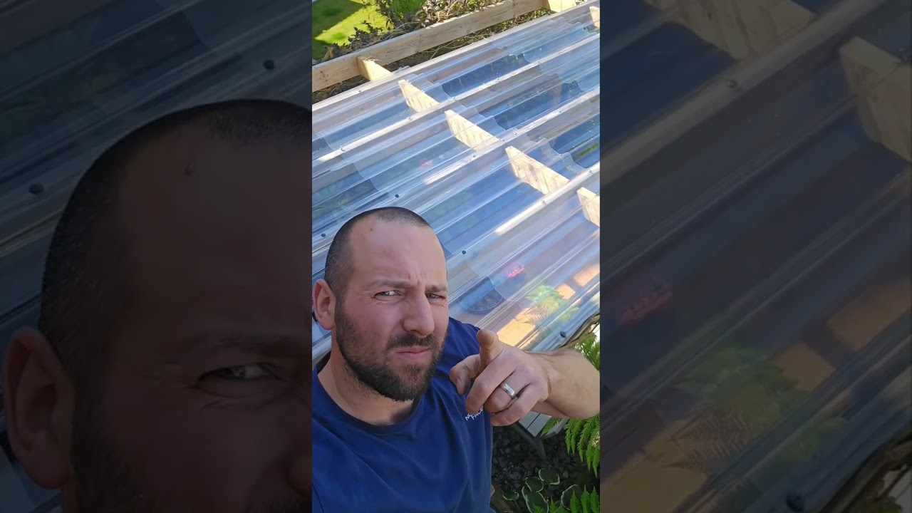 How to put a roof on a pergola. #onduline #roofing #gardenproject #DIY