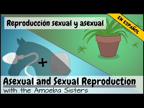 Reproducción sexual y