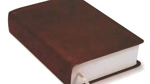 Studying the Real Word | God is the Source of Life