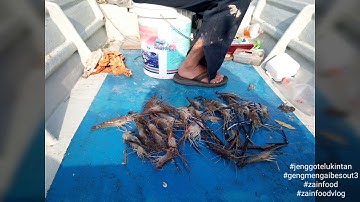 Jenggo Teluk Intan | komplot dan solo | udang galah | coming soon