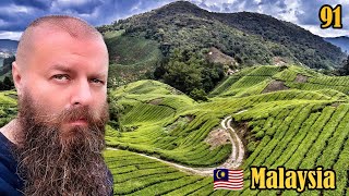 видео: ПУТЕШЕСТВИЕ ВОКРУГ СВЕТА 91 Малайзия. Чайные плантации Cameron Highlands. Дуриан, клубника, автостоп картинка: ПУТЕШЕСТВИЕ ВОКРУГ СВЕТА 91 Малайзия. Чайные плантации Cameron Highlands. Дуриан, клубника, автостоп