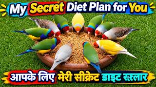 My Secret Diet Plan for Finches | Healthy Birds & Better Breeding Formula | Birds & Boxes with Biya