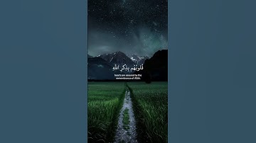 تلاوة عطرة للقارئ عبد الرحمن مسعد #قران_كريم #اكسبلور #السعودية #عبدالرحمن_مسعد #قرآن