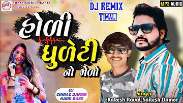 Holi Dhuleti no Melo Rakesh Raval Timali Remix 2023 / Holi Special Remix Timali Gafuli Sailesh Damor