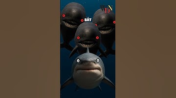 Tại sao lại thật tệ khi sinh ra là Megalodon #shorts