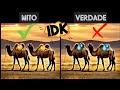 Corcovas de Camelos: Reservatórios de Água ou Um Mito? #mitos #mitoouverdade #curiosidades