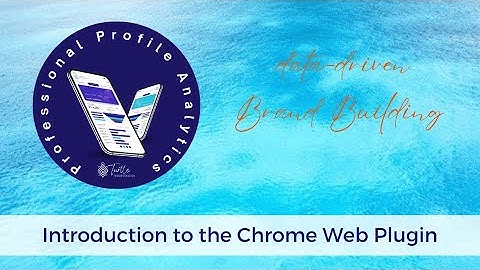 Introduction to PPA Chrome Web Plugin
