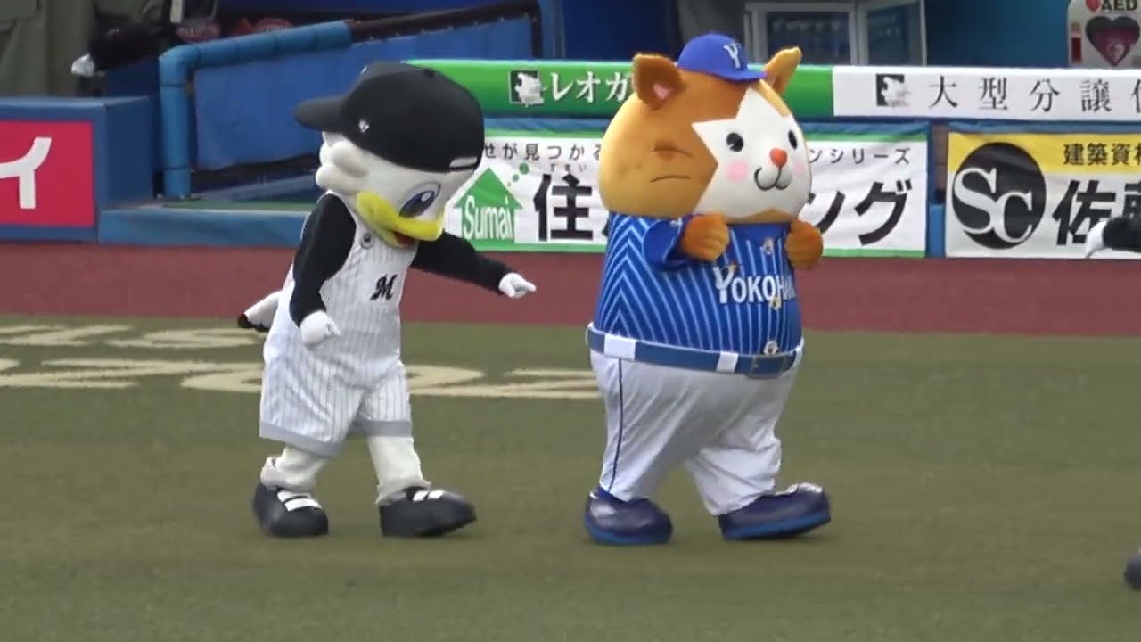 【交流戦】ズーちゃん ☆DB.スターマンの尻尾が気になる⁉ 現地映像