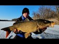 Ловля Огромных Карпов Со Льда. Попал На Клёв!!!Крючки Ломает, Леска Трещит, Удочки Гнёт.