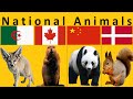 Les animaux nationaux de tous les pays