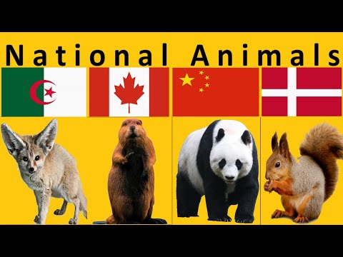 Nationaltiere aller Länder