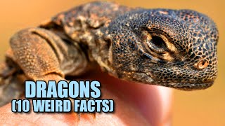 Dragon 🐉 (10 FACTS You NEVER KNEW)